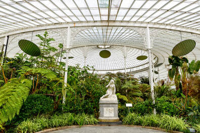 Inside the Glasgow Botanic Gardens